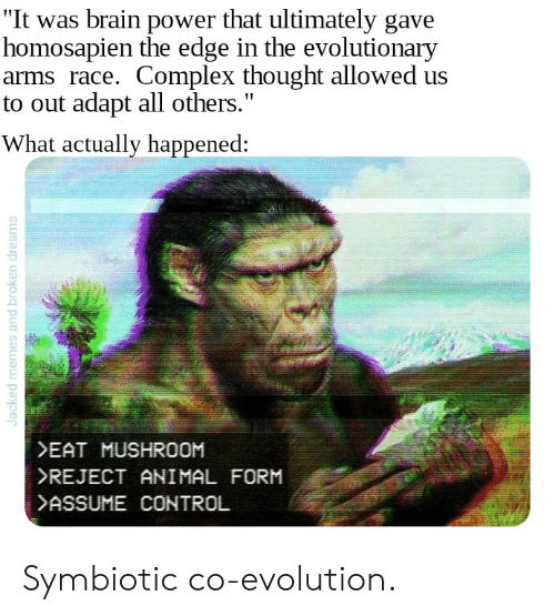 Brain Power Evolution Meme