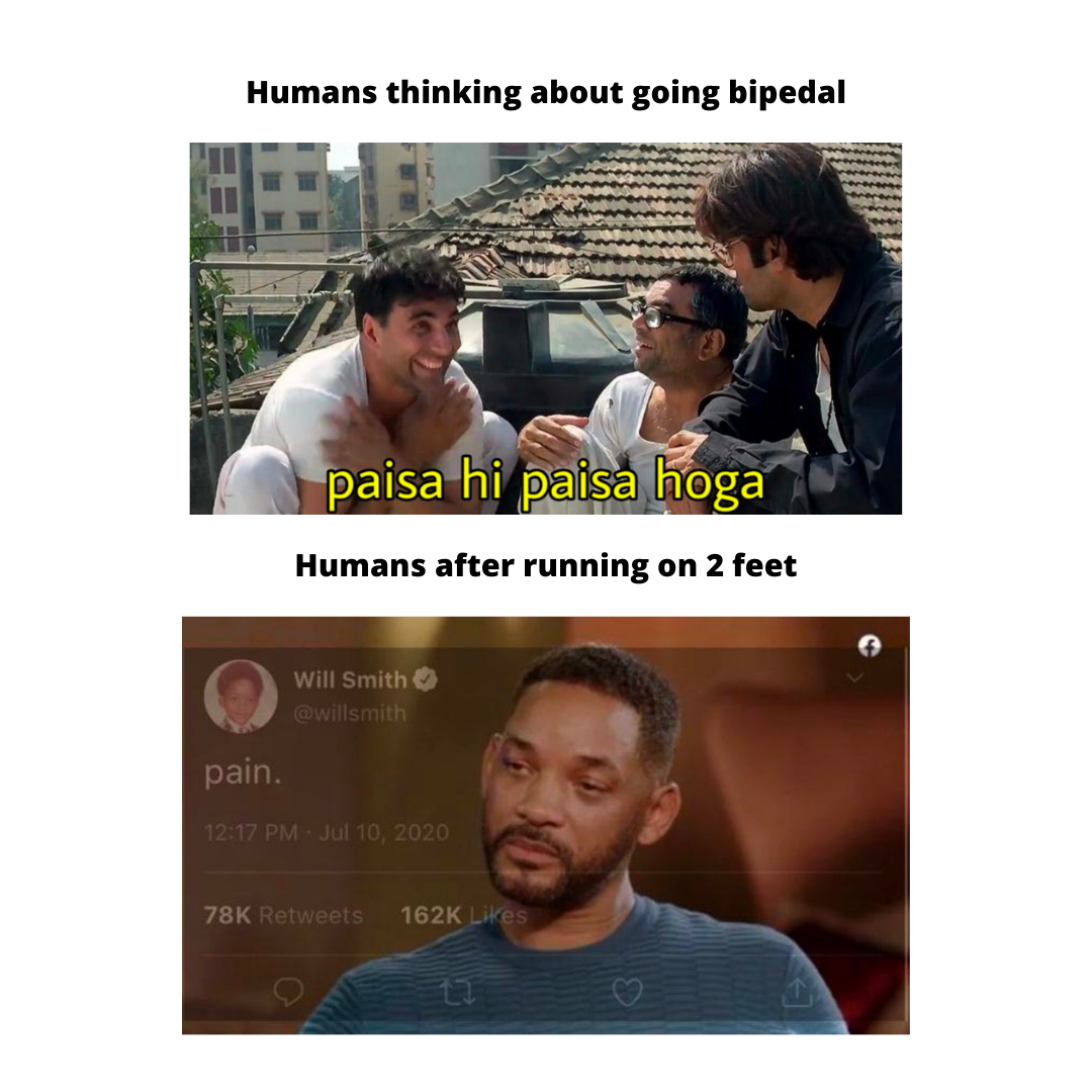 Bipedal Evolution Meme