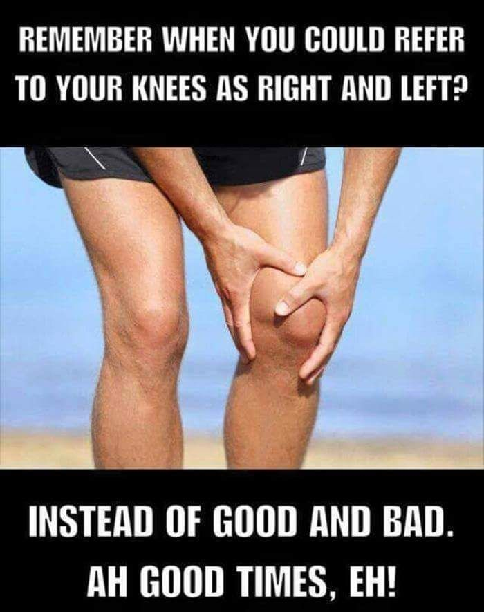 Knee Evolution Meme